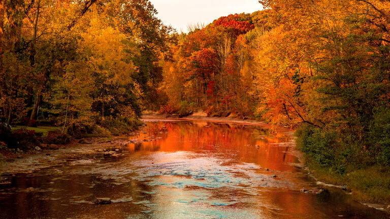 Scenic view of Cuyahoga River in Cuyahoga Valley National Park in the autumn forest