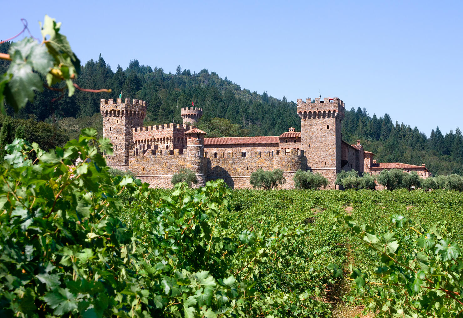 Castle