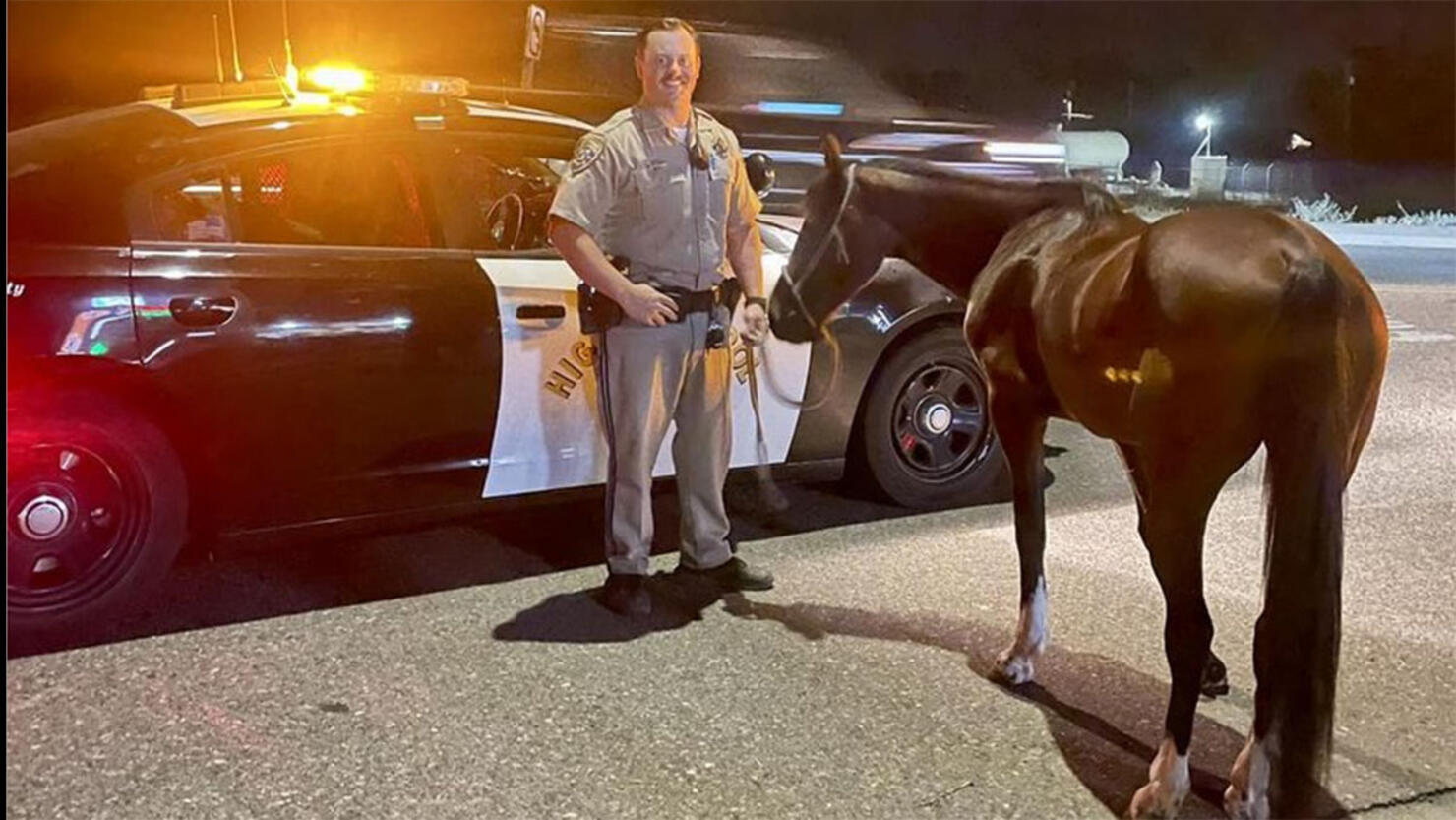 Officer Brackett Poses With Horse After Arresting Rider For DUI