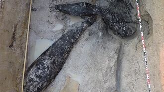 Archaeologists in Zambia Unearth Oldest Wooden Structure Ever Found 