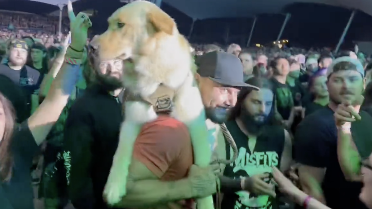 Fan Brings Dog To Metal Show Then Gets Chewed Out By Band