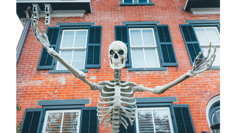 Giant Skeleton Decoration, Lawn Skeleton Halloween Decoration, Trick or Treat Home