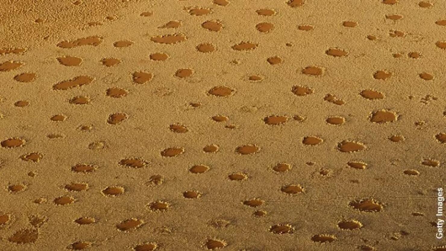 Satellites Show Mysterious Fairy Circles in More Parts of the World - The  New York Times