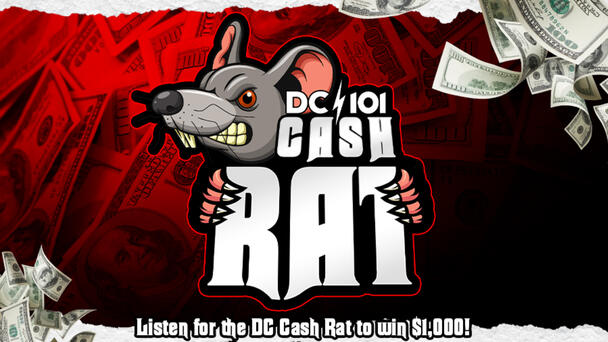 DC101 Cash Rat