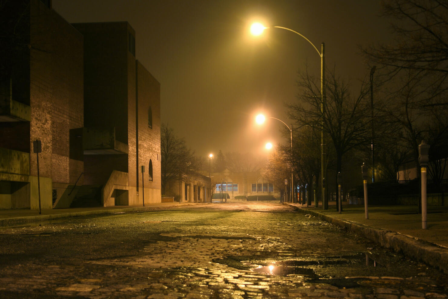 Nighttime Mist