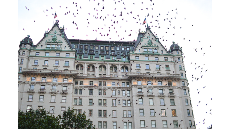 The Dakota Building