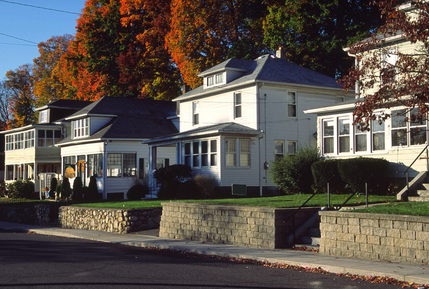 Suburban Neighborhood