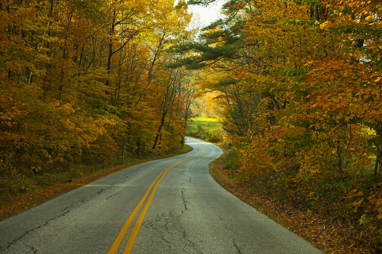 Winding Road in Autumn