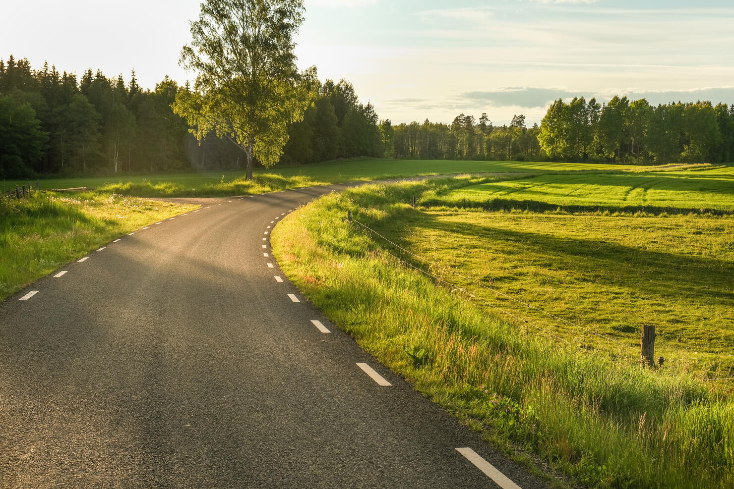 Narrow country road in agricultural landscape in spring in evening light