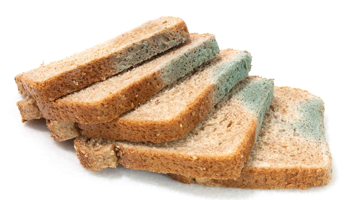 The One Place You're Not Checking for Moldy Bread