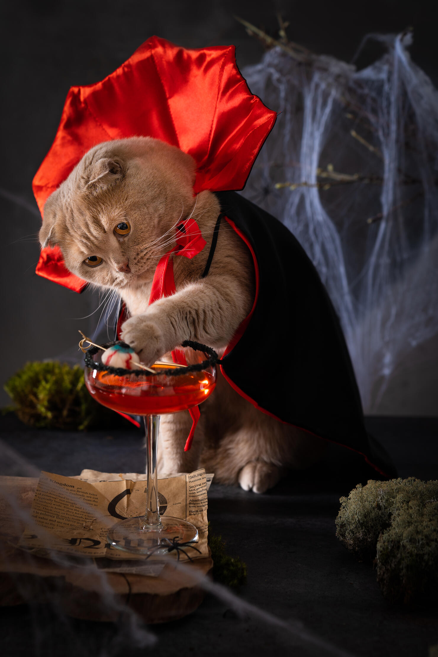Dracula cat wearing vampire costume and catching a jelly eye in bloody margarita cocktail on scary dark background. Halloween vampire party. Bar menu, recipe, festive poster, Greeting card