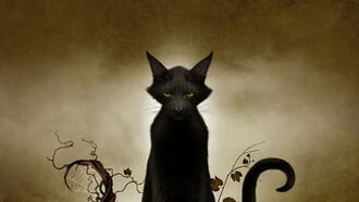 Mister Sam Shearon Artwork