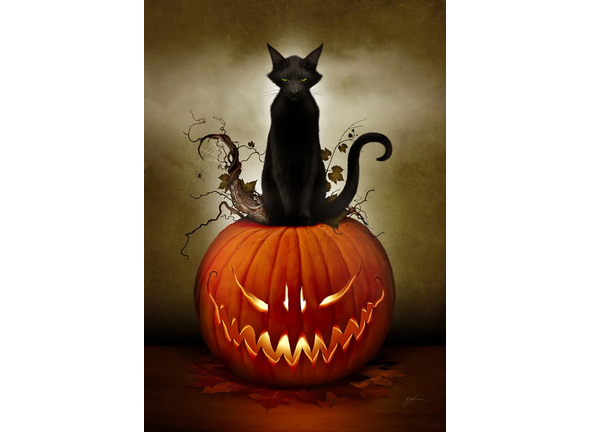 Mister Sam Shearon Artwork