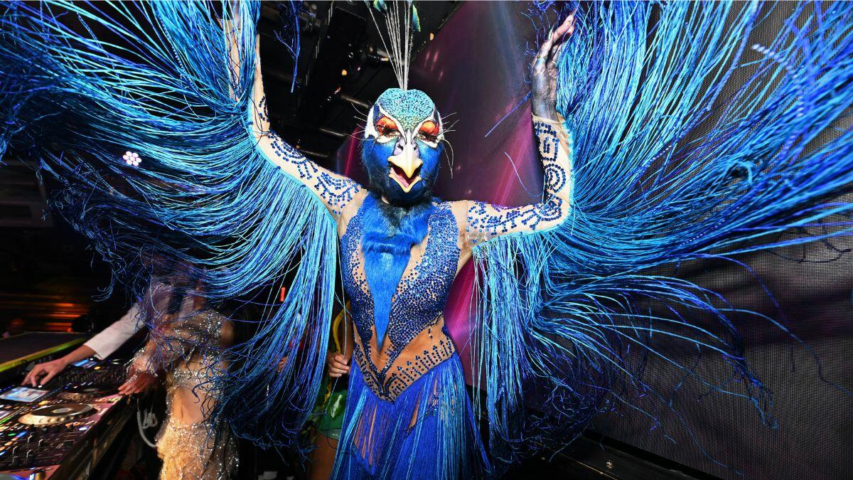 Heidi Klum's Halloween Costume Included Cirque du Soleil Performers