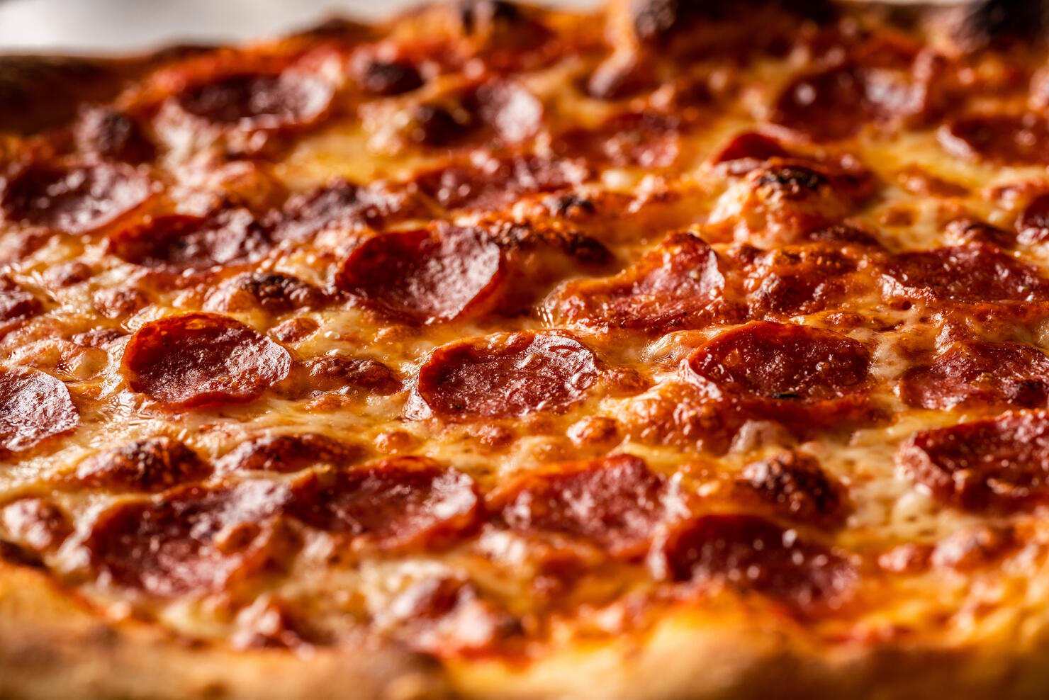 New York Pizza,Close-up of pizza