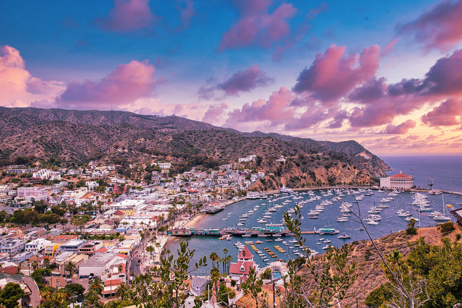 High angle view of townscape by sea against sky,Santa Catalina Island,California,United States,USA