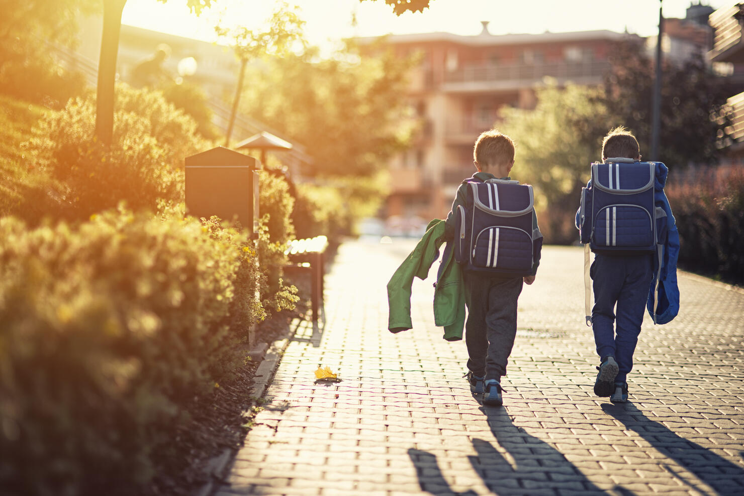 Two little boys returning from school