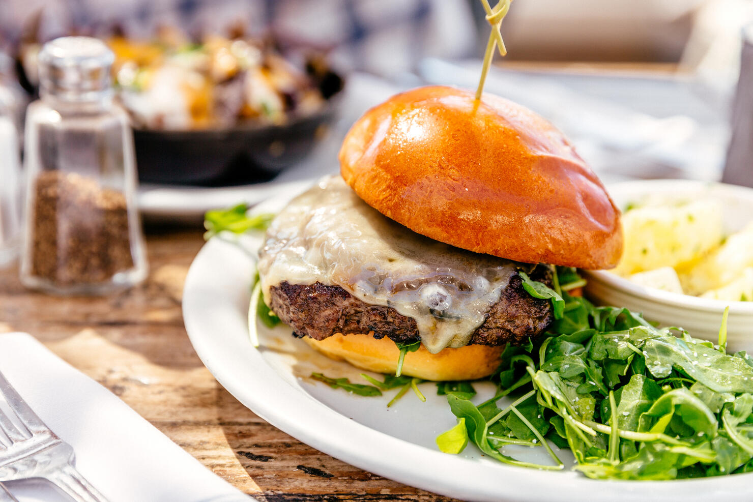 Close up of juicy beef cheeseburger with salad on the plate