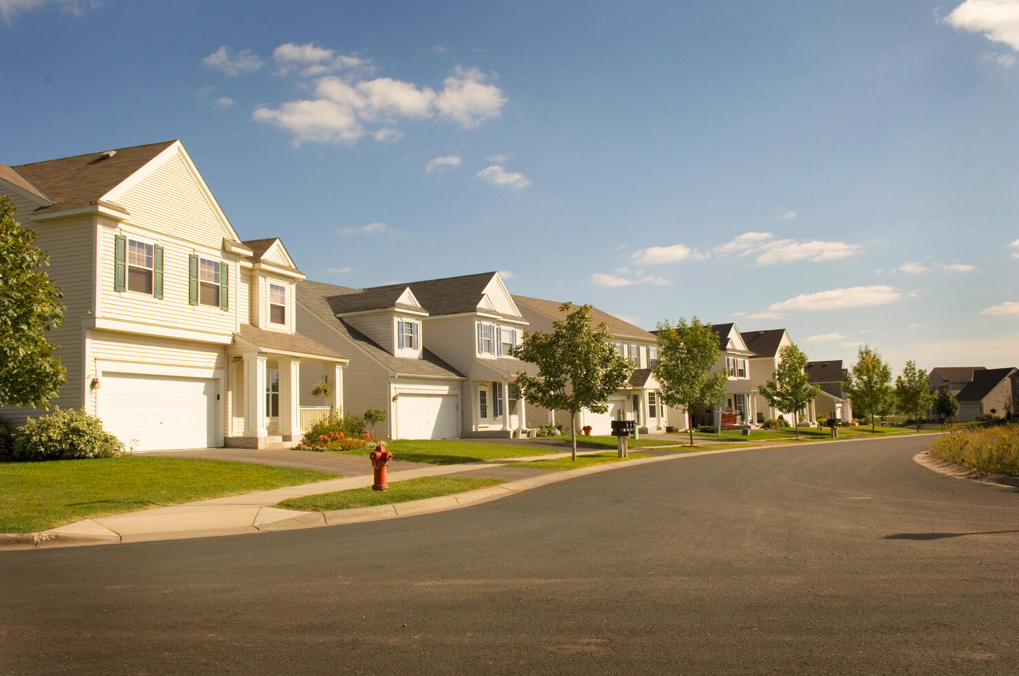 Beautiful Suburbia