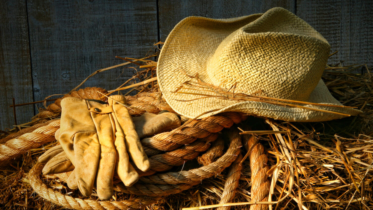 Straw hat with gloves on a bale of hay,Romania