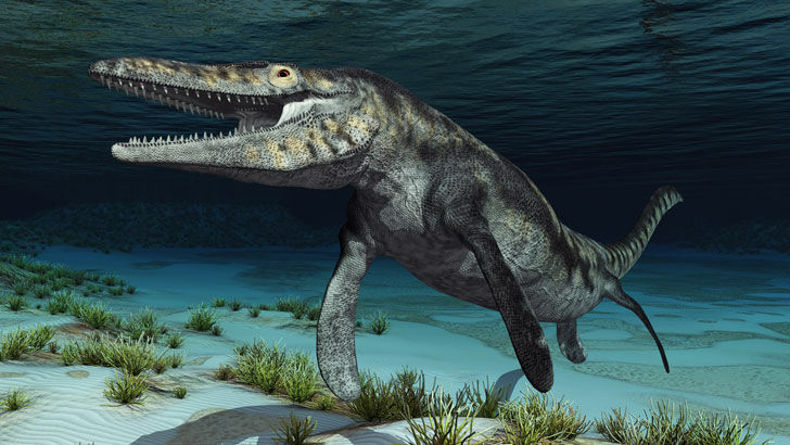 Ancient 'Blue Dragon' Sea Monster Unveiled