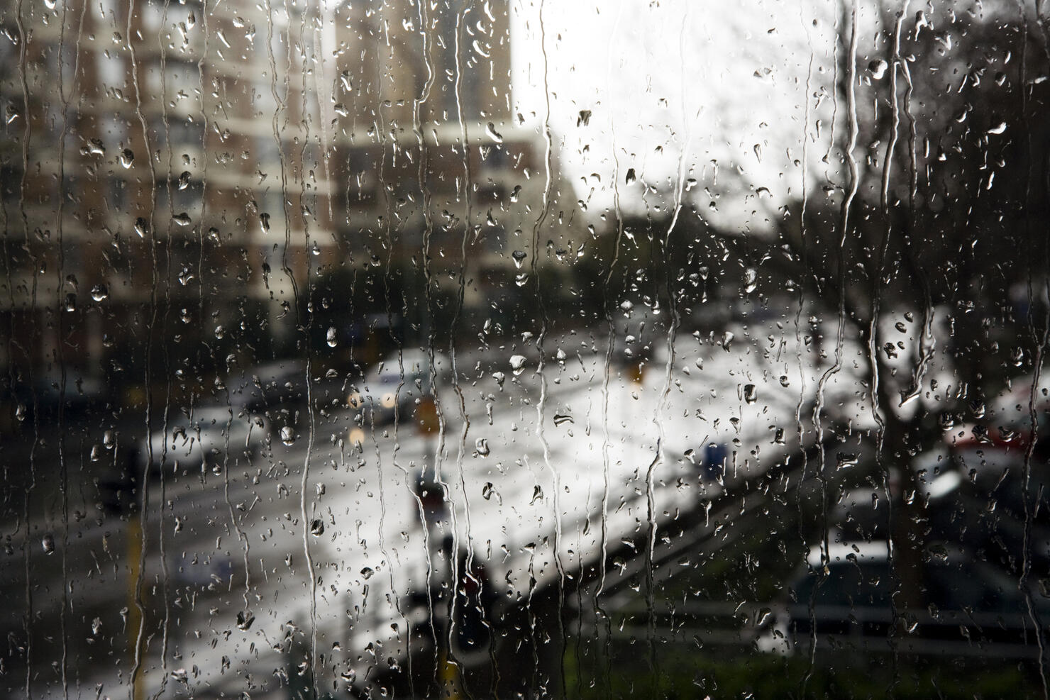 Rainy day apartments
