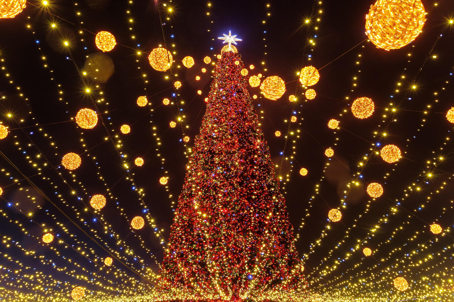 Christmas tree at night on New Year's Eve in Kyiv
