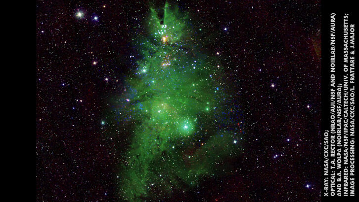 NASA Captures Celestial "Christmas Tree"
