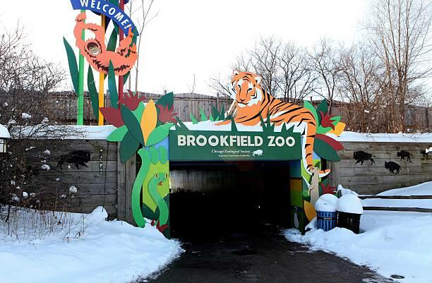 Here's When You Can Visit Brookfield Zoo For Free In January, February ...