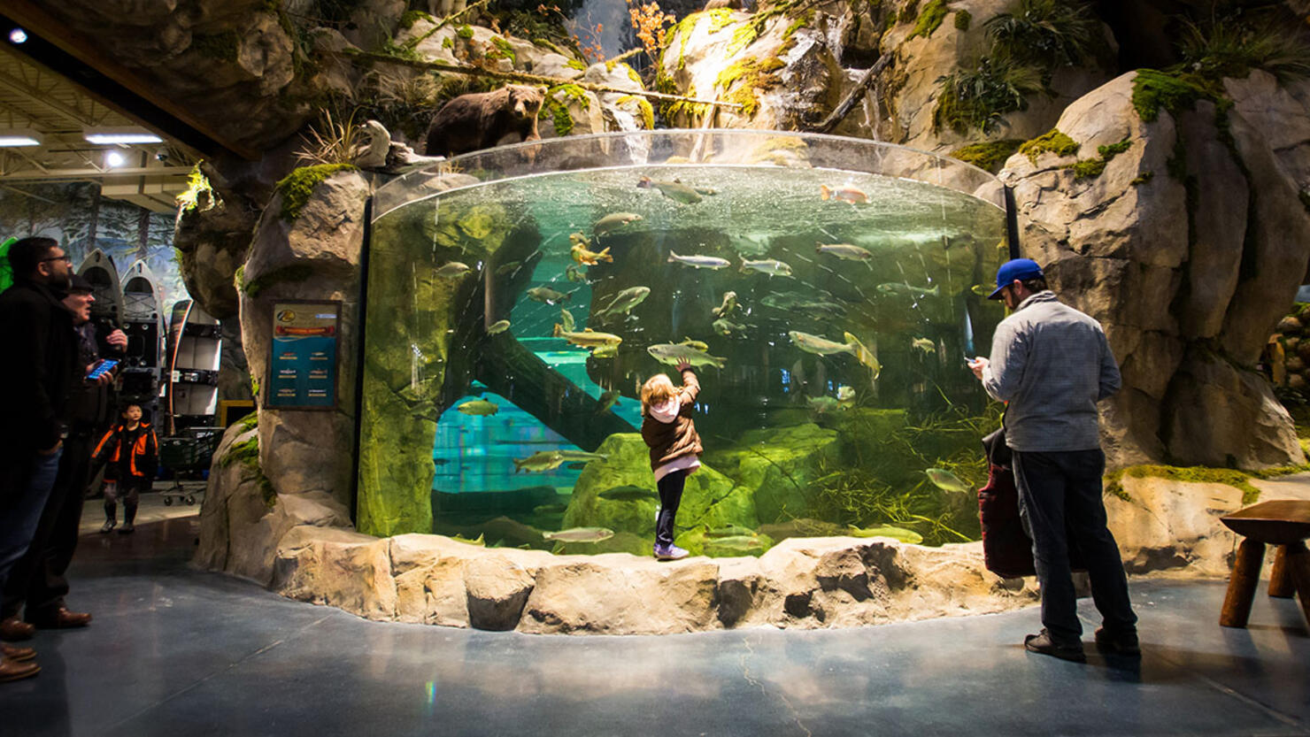 Jumping in bass pro fish outlet tank