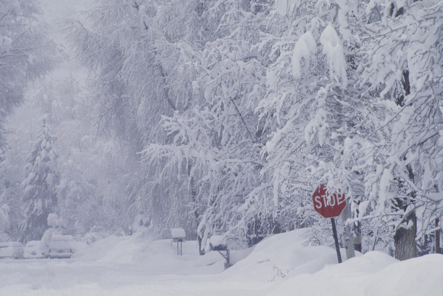 Stop Sign on a Snow Covered Street