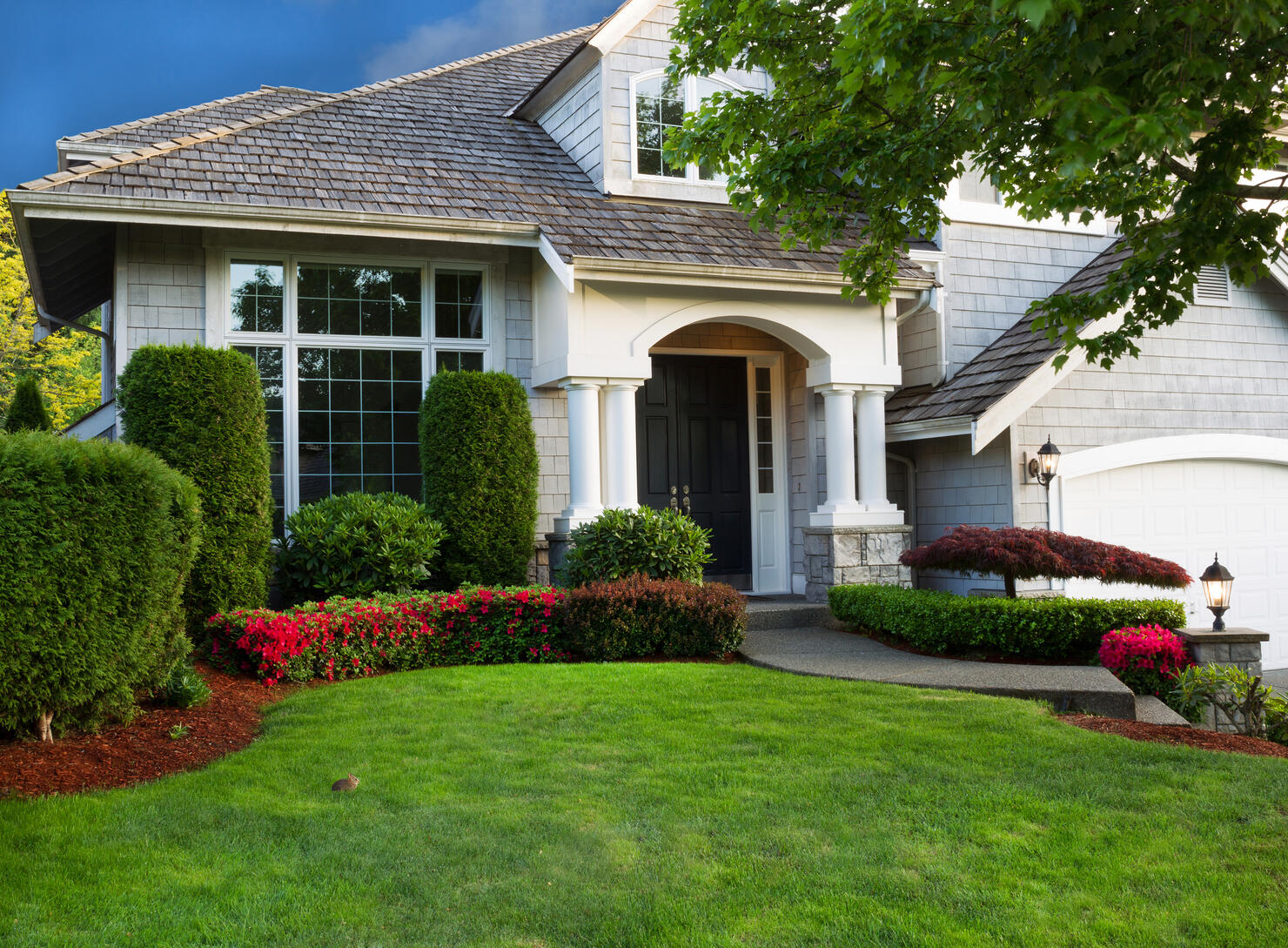Clean Home and Landscape
