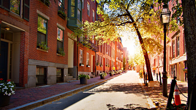 Calm American Street. Brick. Sun. Tree. Flower.