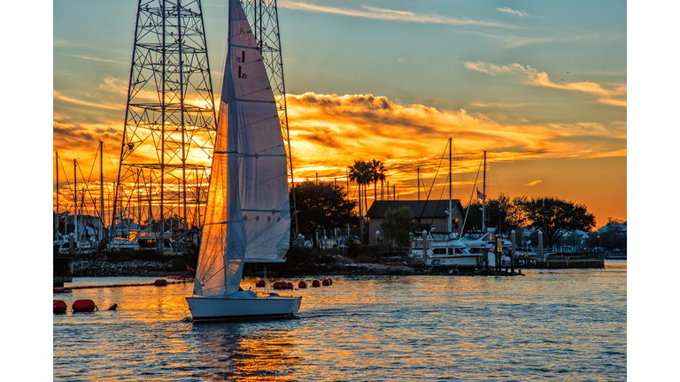 Sail Boat on the Harbor