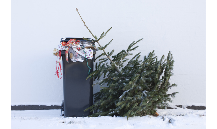 Discarded Christmas Tree Waiting To Be Collected