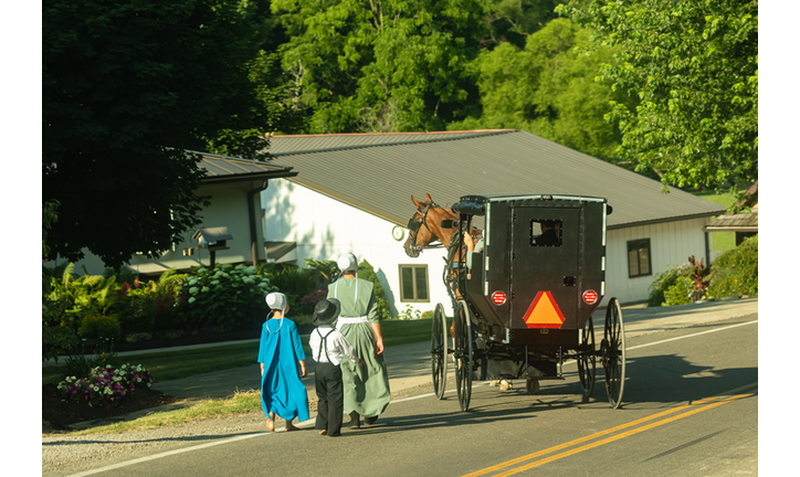 Amish Family walking beside an Amish buggy