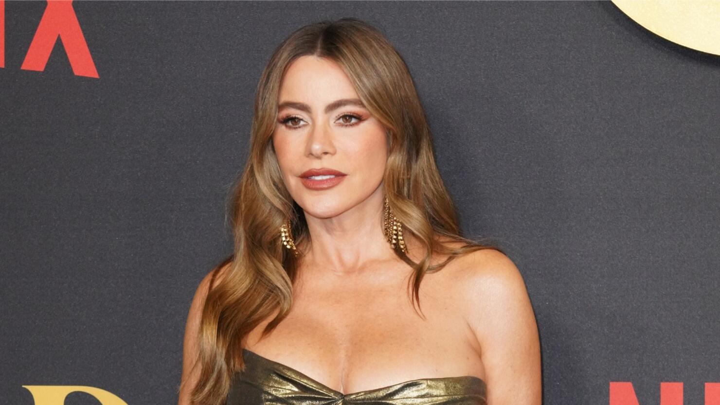 Sofia Vergara Is 'Happier Than Ever' With New BF After Divorce