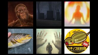 In Coast You Missed It 1/26/24