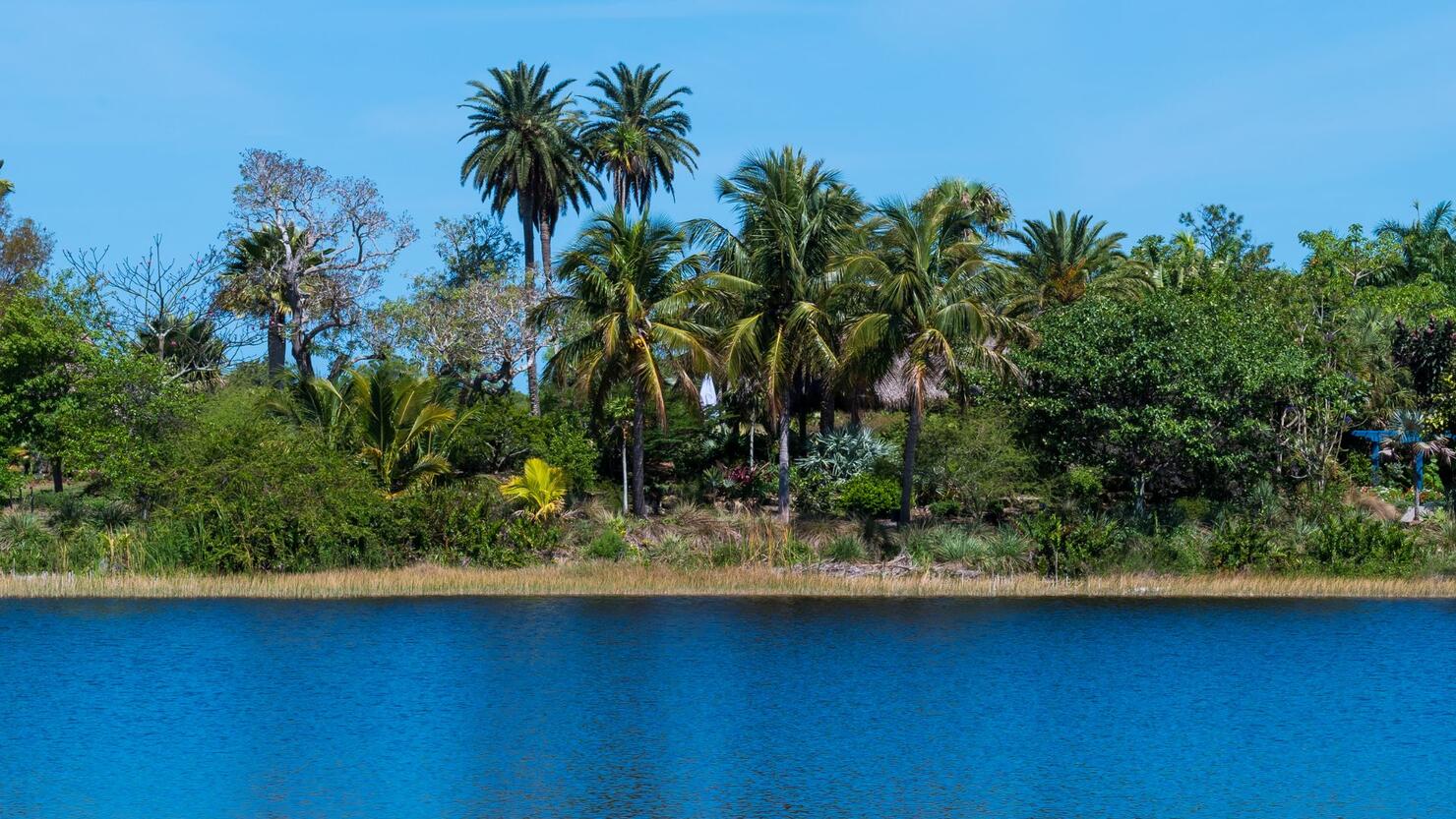 the-deepest-lake-in-florida-iheart