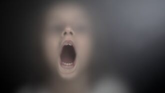 Watch: Security Guard in Mexico Films Sound of Ghost Child Crying?