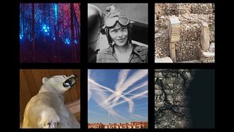 In Coast You Missed It 2/2/24