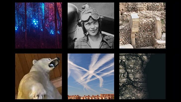 In Coast You Missed It 2/2/24