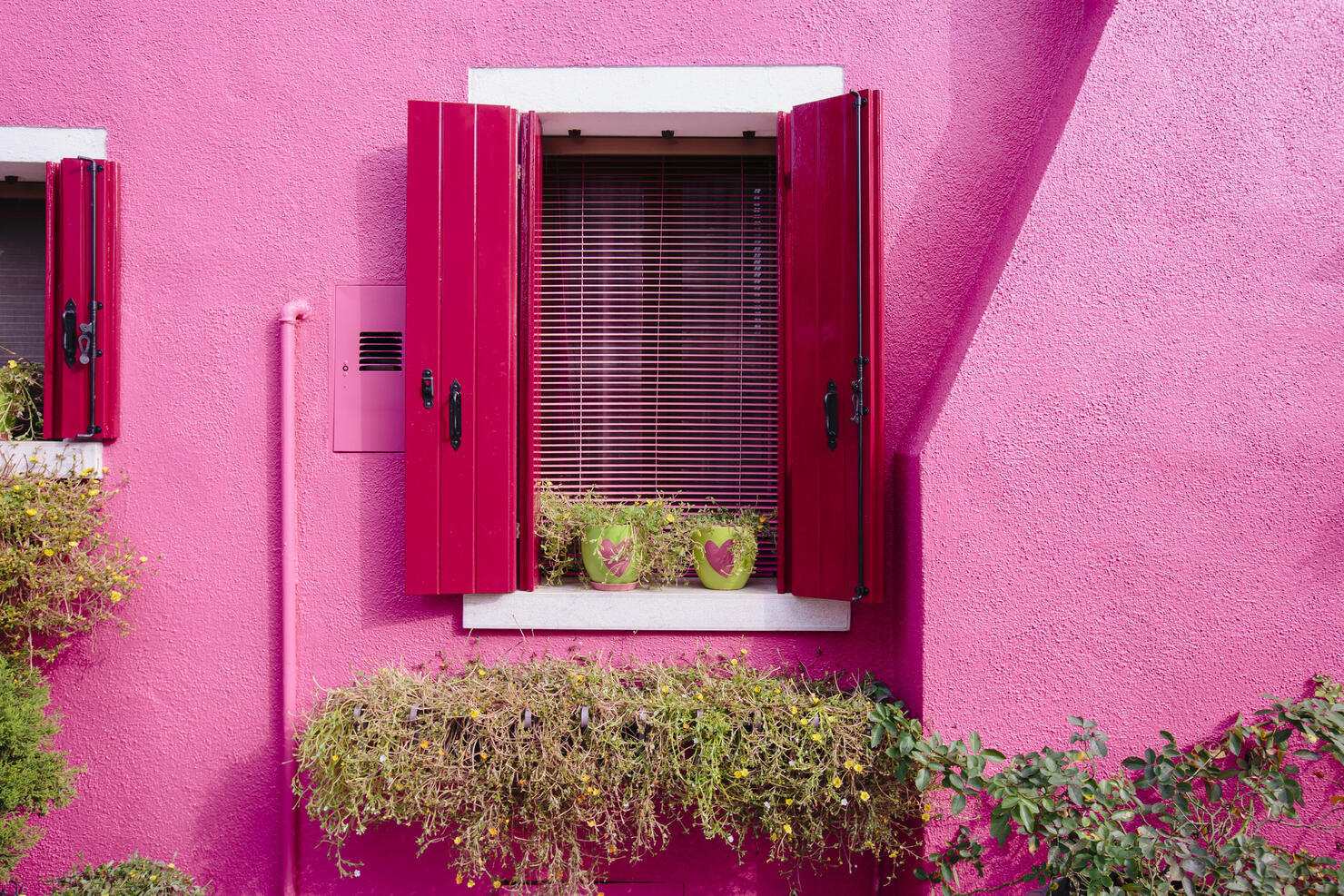 Two flower pots with hearts on the window sill of a vibrant pink house