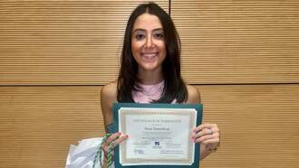 The Arc Of Massachusetts: Naaz Daneshvar’s Story