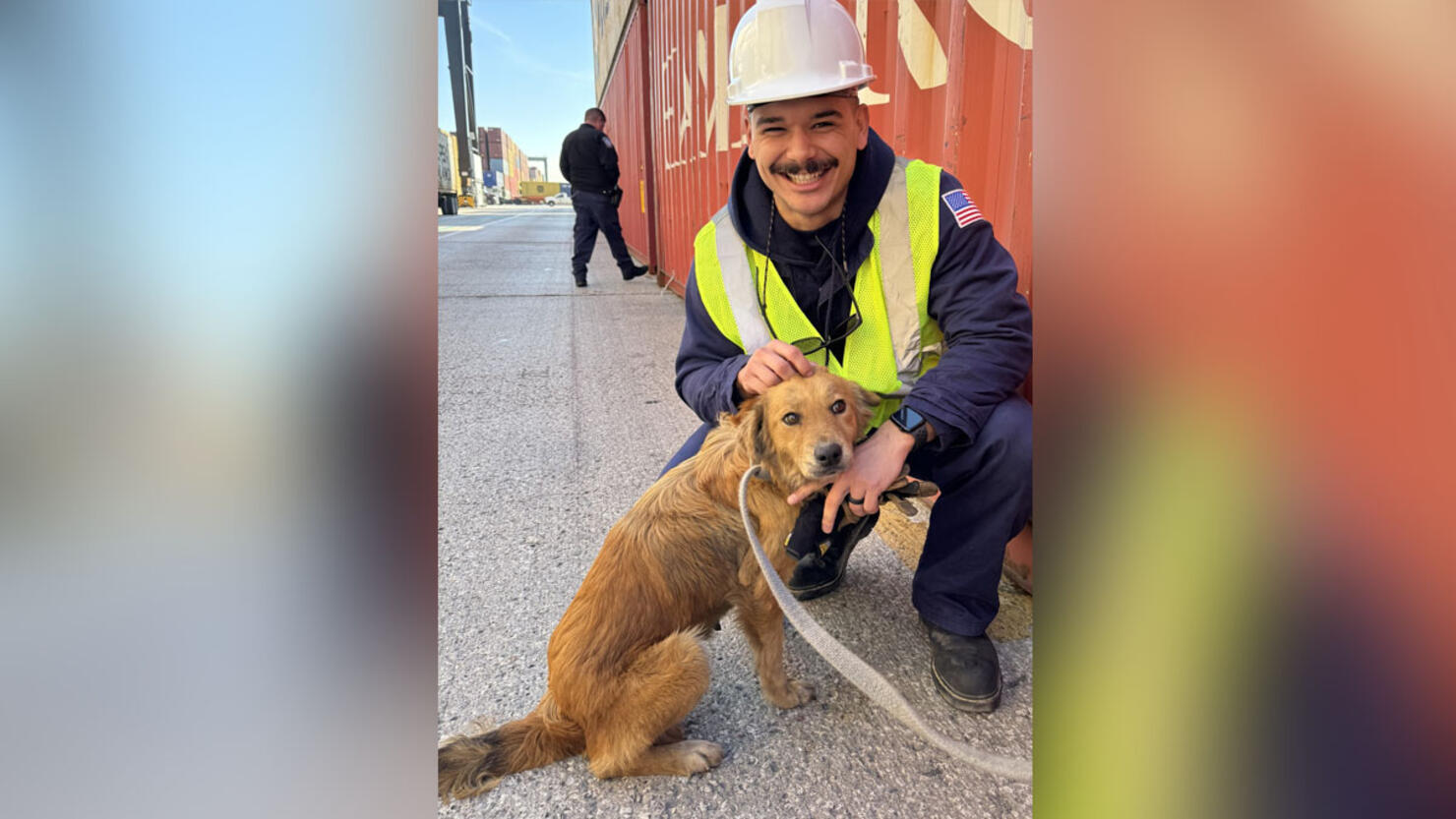  Connie the Container Dog