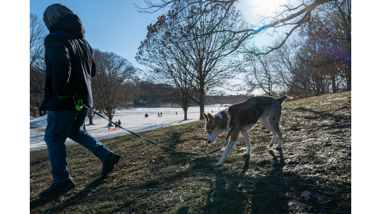 New Yorkers Enjoy A Winter Afternoon In Brooklyns Prospect Park