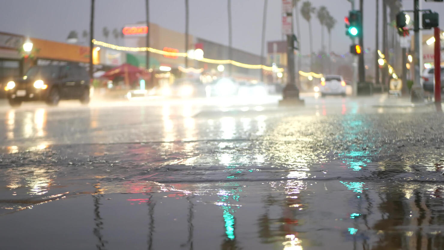 Lights reflection on road in rainy weather. Palm trees and rainfall, California.