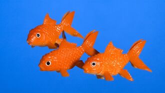 Watch: Russian Security Guard Fired for Trying to Eat Piece of Art Exhibit