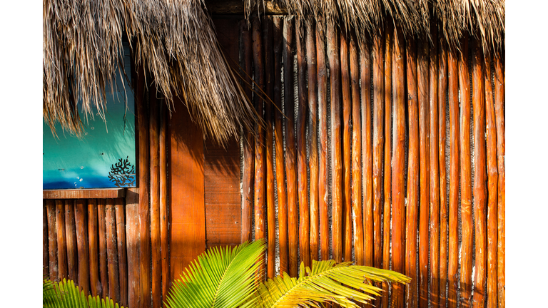 Tropical wood background with palm leaves and palapa