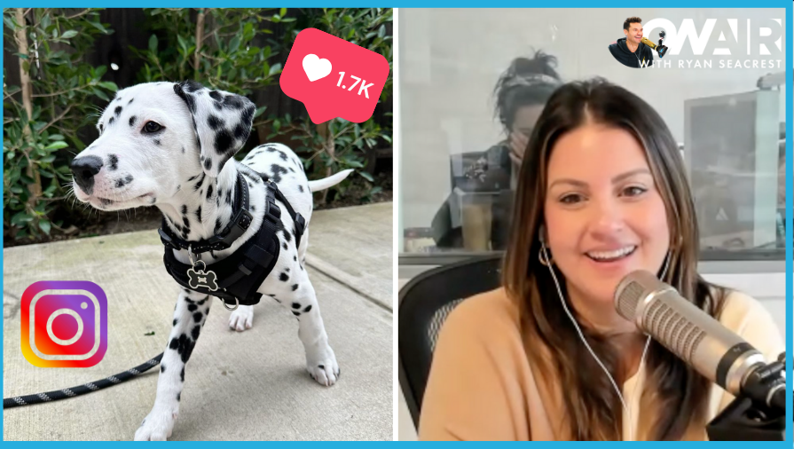 Meet Sisanie's New Dalmation Puppy Diego! See the Pics